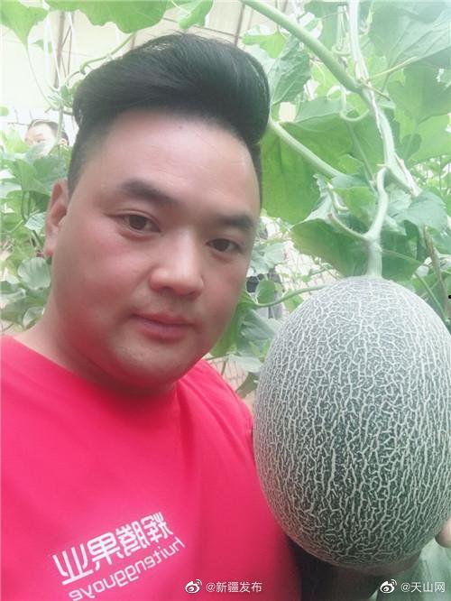 吃瓜网5,带你领略网络娱乐新风向